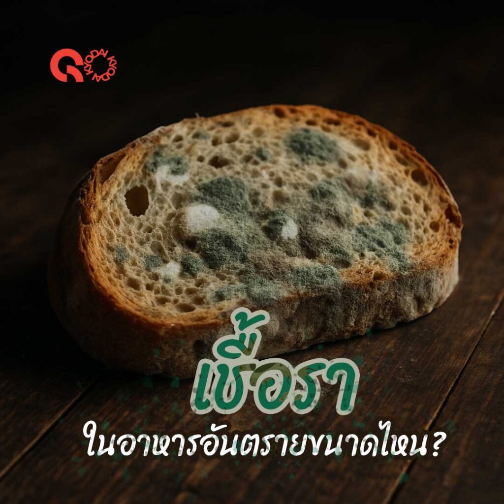 เชื้อราในอาหาร