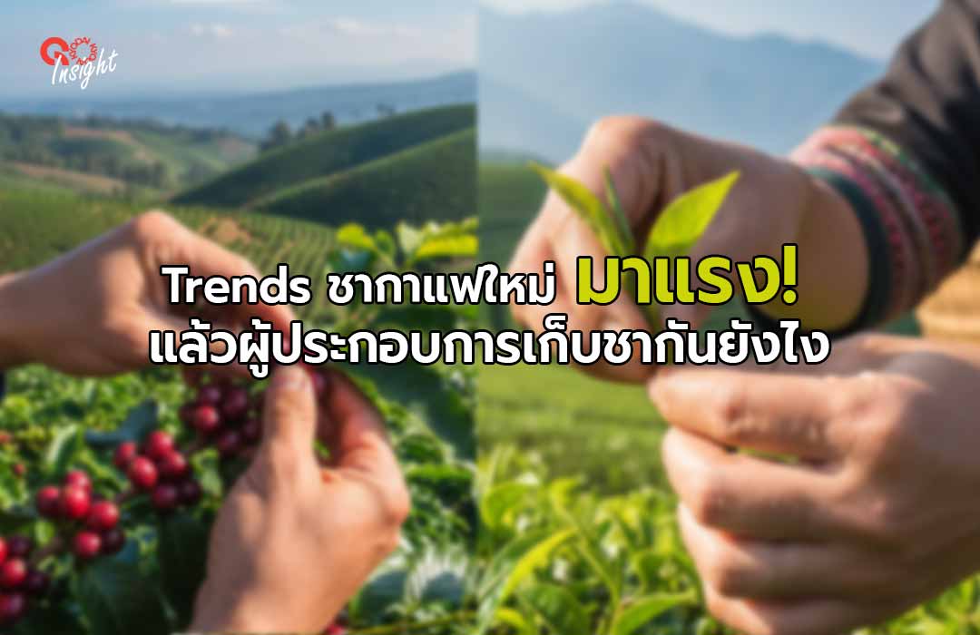 Trends ชา กาแฟใหม่