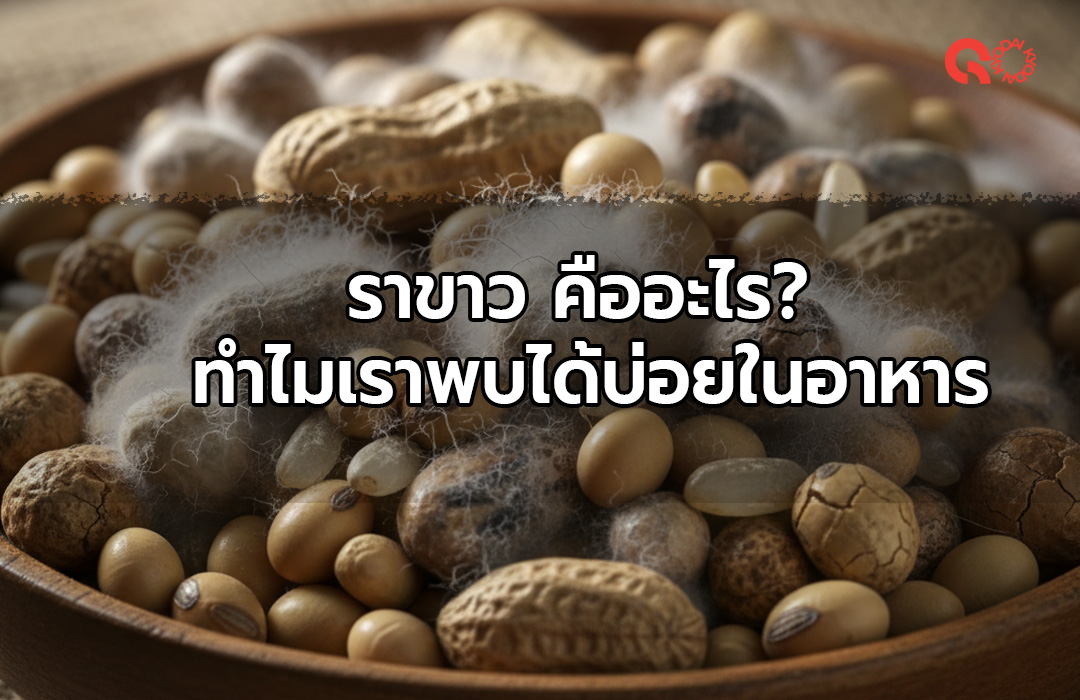 ราขาวคืออะไร
