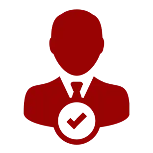Professinal-icon